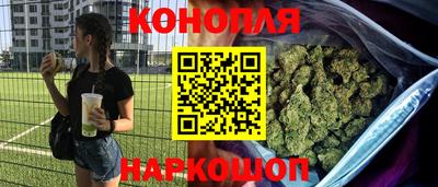 сатива Канаш