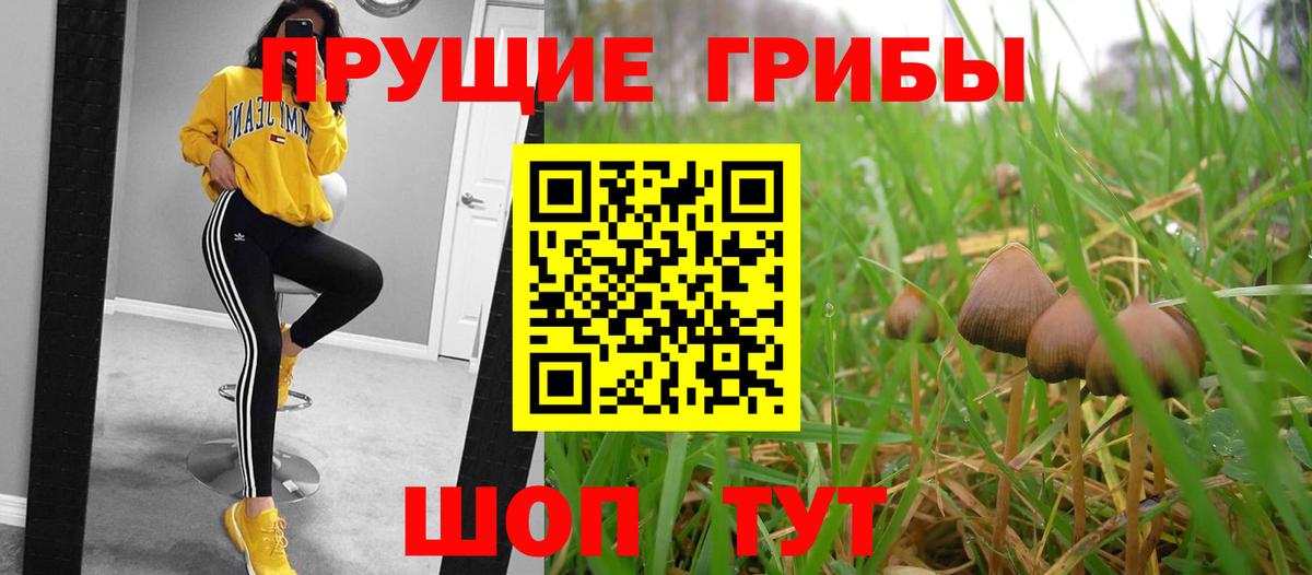 как найти наркотики  Галлюциногенные грибы мухоморы  Вход с VPN  Павловский Посад 